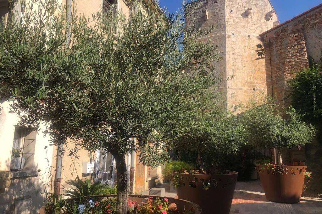 Carrer Del Sol Villa Saintes-Marie-la-Mer Buitenkant foto