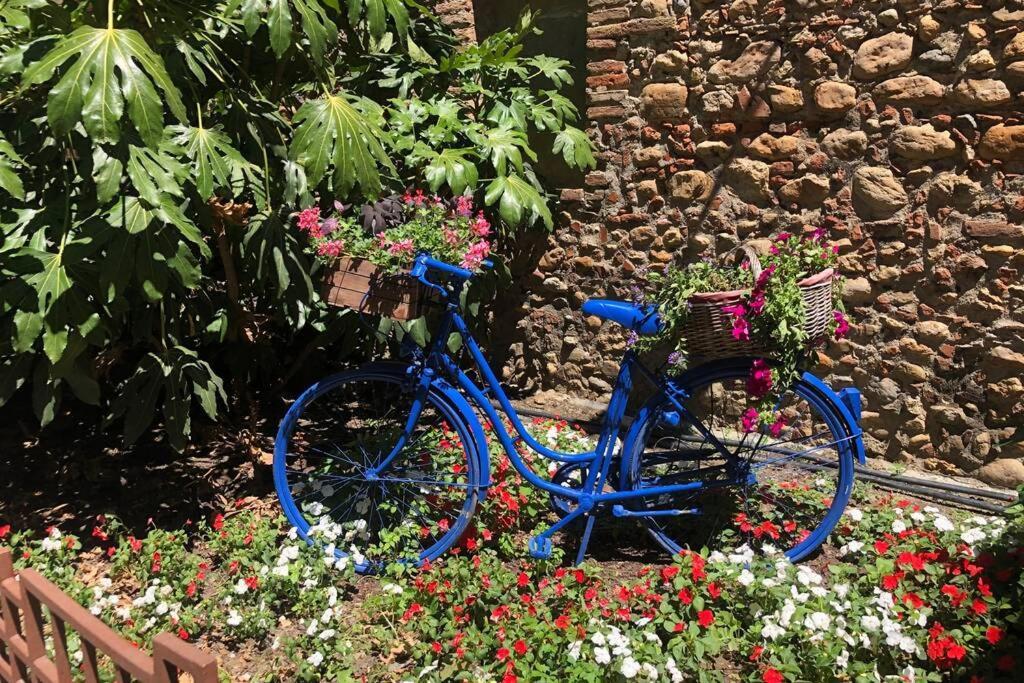 Carrer Del Sol Villa Saintes-Marie-la-Mer Buitenkant foto